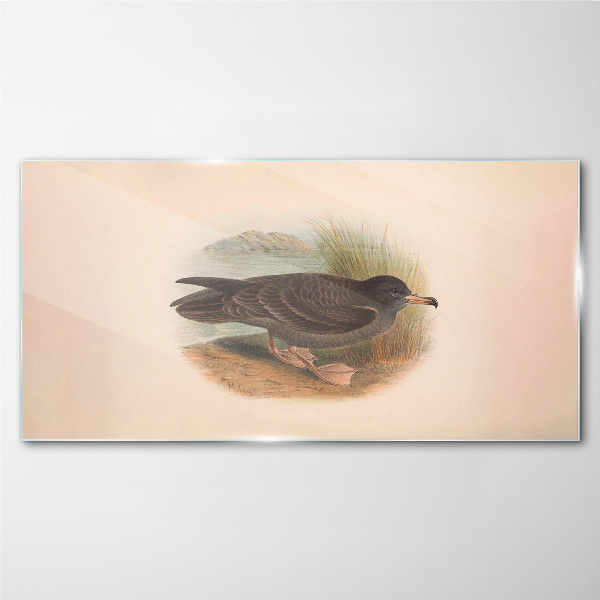 Tableau photo sur verre Un oiseau au bord de l'eau