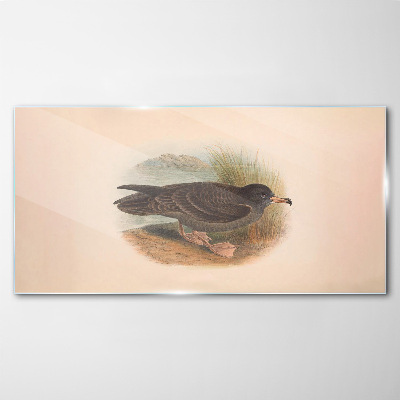 Tableau photo sur verre Un oiseau au bord de l'eau