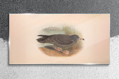 Tableau photo sur verre Un oiseau au bord de l'eau
