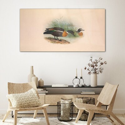 Tableau en verre Deux canards dans l'herbe