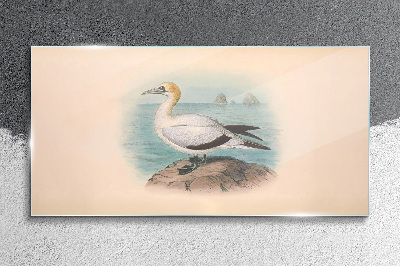Tableau sur verre Oiseau de mer sur fond d'eau
