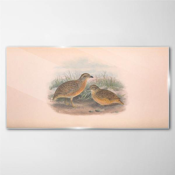 Tableau verre imprimé Deux oiseaux dans l'herbe