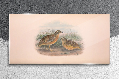 Tableau verre imprimé Deux oiseaux dans l'herbe