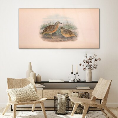 Tableau verre imprimé Deux oiseaux dans l'herbe