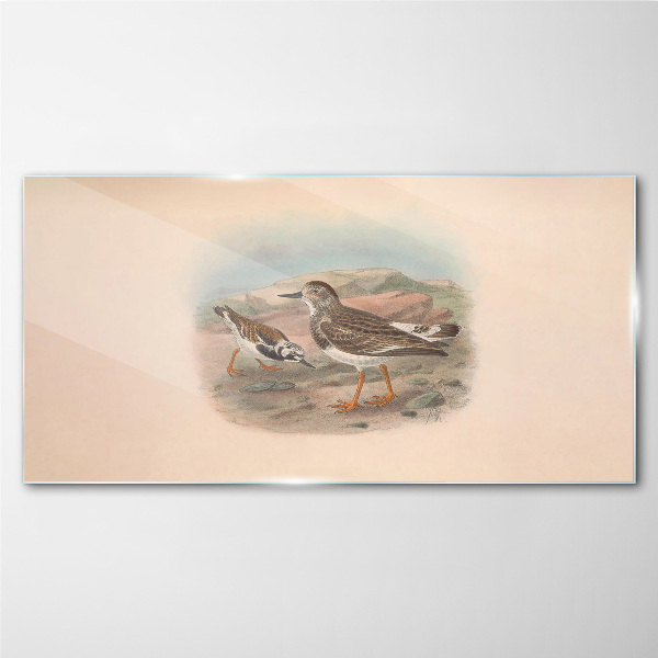 Tableau photo sur verre Oiseaux sur fond de paysage désertique
