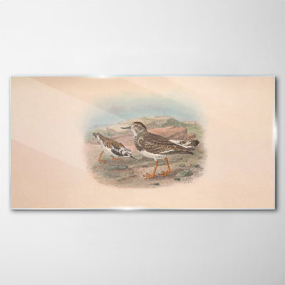 Tableau photo sur verre Oiseaux sur fond de paysage désertique