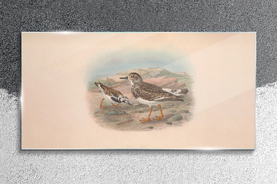 Tableau photo sur verre Oiseaux sur fond de paysage désertique