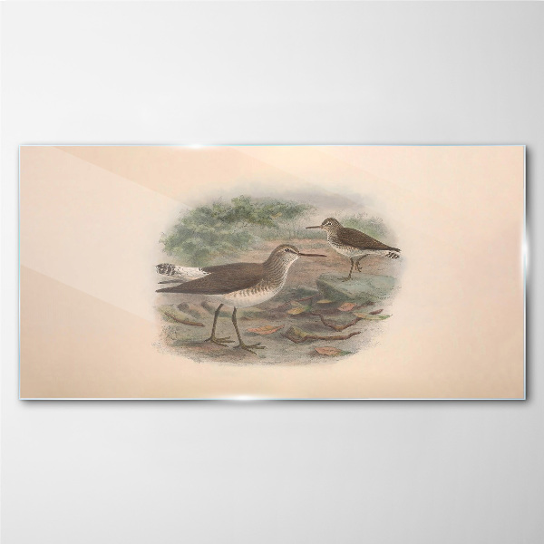 Tableau photo sur verre Oiseaux au-dessus de l'eau