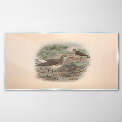 Tableau photo sur verre Oiseaux au-dessus de l'eau