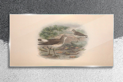 Tableau photo sur verre Oiseaux au-dessus de l'eau