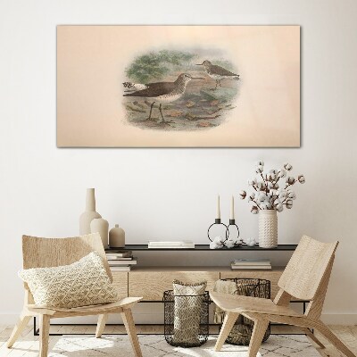 Tableau photo sur verre Oiseaux au-dessus de l'eau