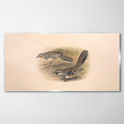 Tableau imprimé sur verre Des oiseaux dans un environnement délicat