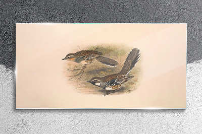 Tableau imprimé sur verre Des oiseaux dans un environnement délicat