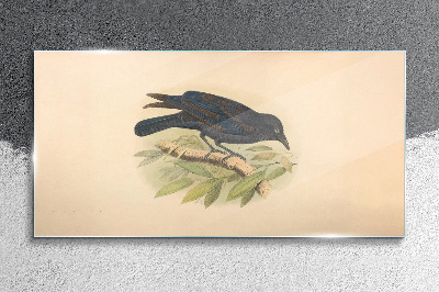 Tableau photo sur verre Oiseau noir sur une branche