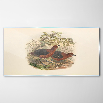 Tableau en verre Les oiseaux dans leur habitat naturel