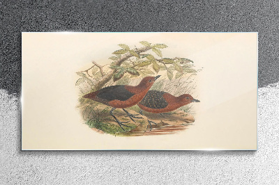 Tableau en verre Les oiseaux dans leur habitat naturel