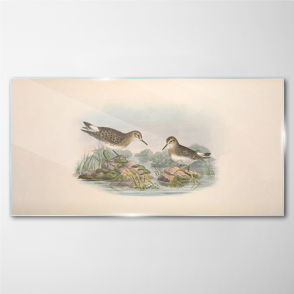 Tableau photo sur verre Oiseaux au bord de l'étang aux couleurs pastel