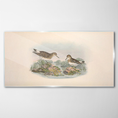 Tableau photo sur verre Oiseaux au bord de l'étang aux couleurs pastel