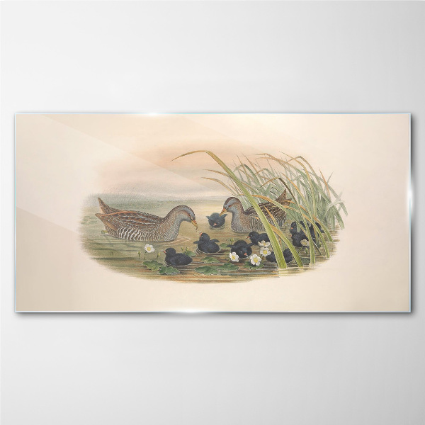 Tableau en verre Familles de canards dans un environnement aquatique