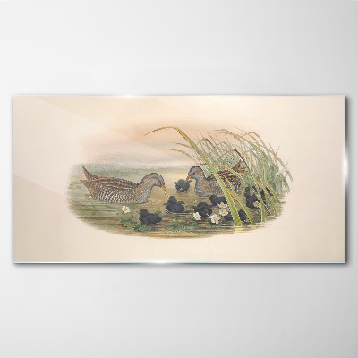 Tableau en verre Familles de canards dans un environnement aquatique