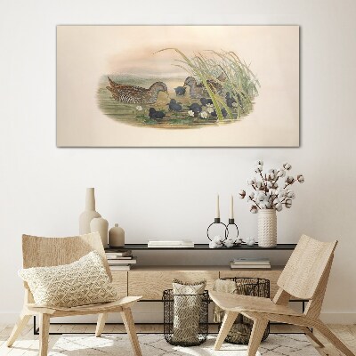 Tableau en verre Familles de canards dans un environnement aquatique