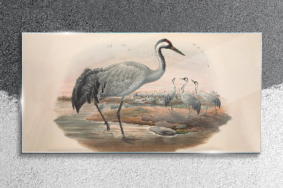 Tableau sur verre Vanneau huppé sur fond d'eau