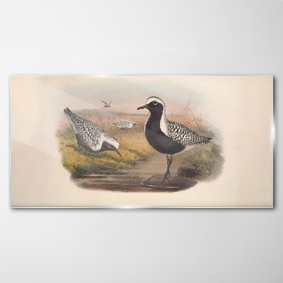 Tableau imprimé sur verre Les oiseaux dans leur habitat naturel