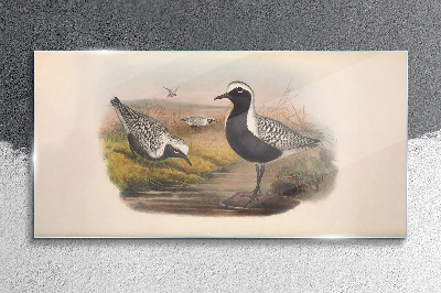 Tableau imprimé sur verre Les oiseaux dans leur habitat naturel