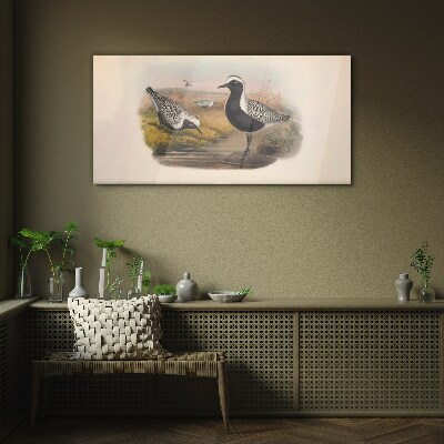 Tableau imprimé sur verre Les oiseaux dans leur habitat naturel