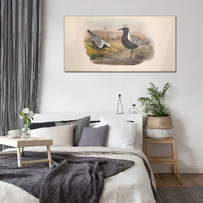 Tableau imprimé sur verre Les oiseaux dans leur habitat naturel