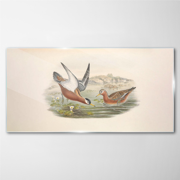 Tableau photo sur verre Oiseaux au-dessus de l'eau