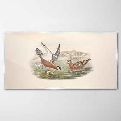Tableau photo sur verre Oiseaux au-dessus de l'eau