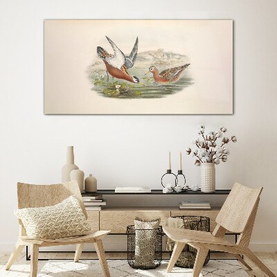 Tableau photo sur verre Oiseaux au-dessus de l'eau