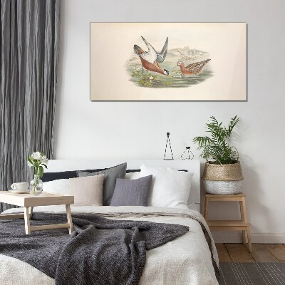 Tableau photo sur verre Oiseaux au-dessus de l'eau