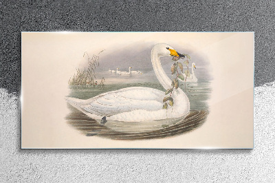 Tableau en verre Cygne avec une brindille