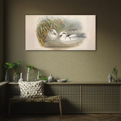 Tableau sur verre Un duo idyllique parmi les herbes