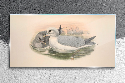 Tableau verre imprimé Oiseaux de mer dans l'eau calme