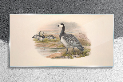 Tableau en verre Une famille d'oies au bord de l'eau