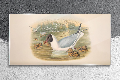 Tableau imprimé sur verre Mouette avec ses petits dans l'eau