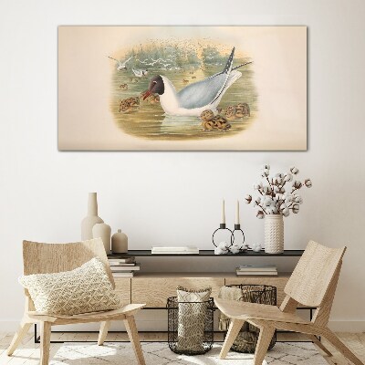 Tableau imprimé sur verre Mouette avec ses petits dans l'eau