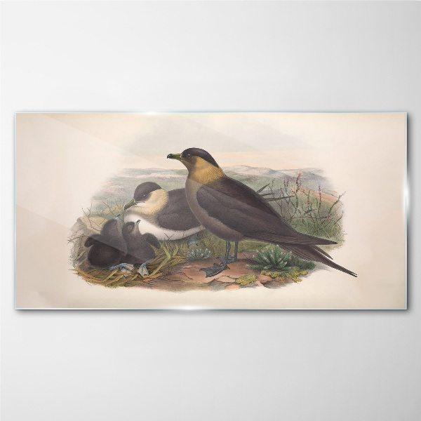 Tableau verre imprimé Une famille d'oiseaux sur un nid