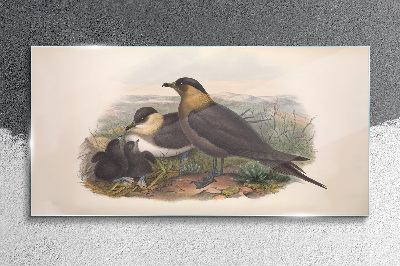 Tableau verre imprimé Une famille d'oiseaux sur un nid