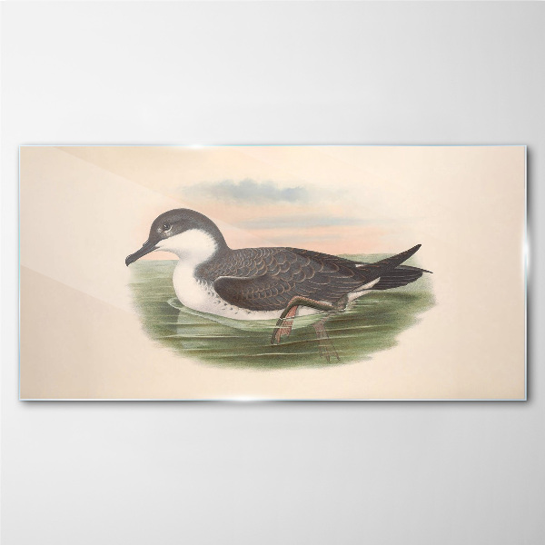 Tableau photo sur verre Un oiseau sur un fond d'eau