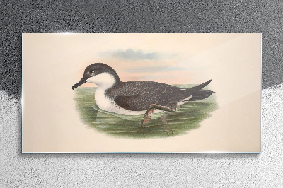 Tableau photo sur verre Un oiseau sur un fond d'eau