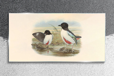 Tableau en verre Oiseaux au-dessus de l'eau