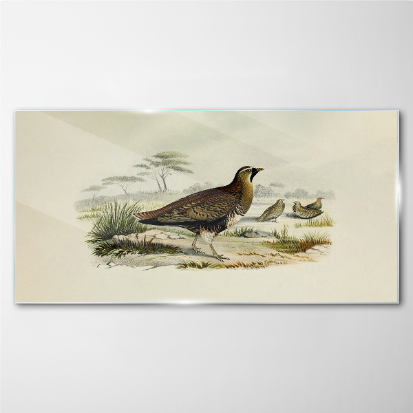 Tableau sur verre Oiseaux Animaux sauvages