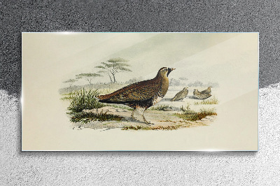 Tableau sur verre Oiseaux Animaux sauvages