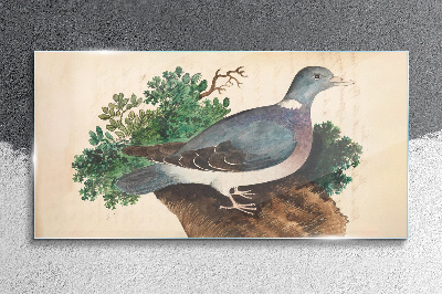 Tableau verre imprimé Un pigeon sur fond vert