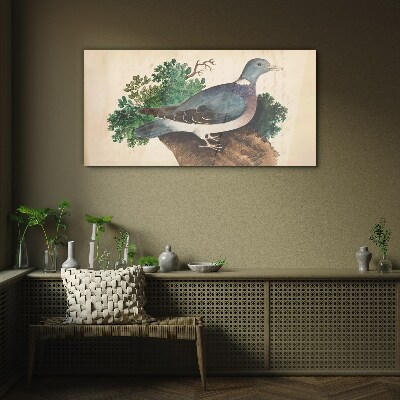Tableau verre imprimé Un pigeon sur fond vert