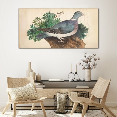 Tableau verre imprimé Un pigeon sur fond vert